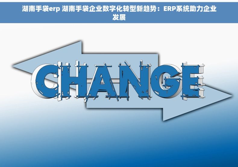 湖南手袋erp 湖南手袋企业数字化转型新趋势：ERP系统助力企业发展