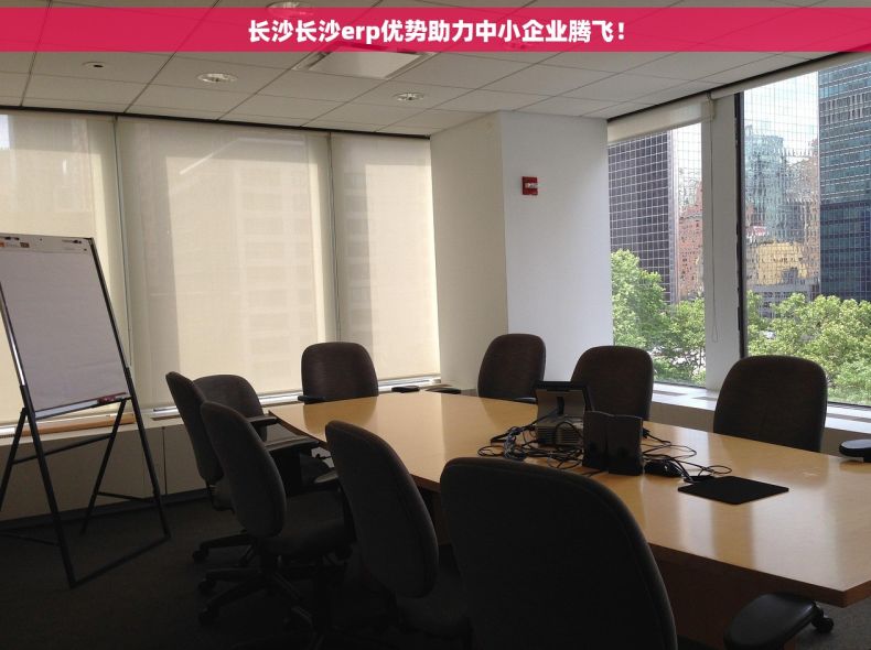 长沙长沙erp优势助力中小企业腾飞！