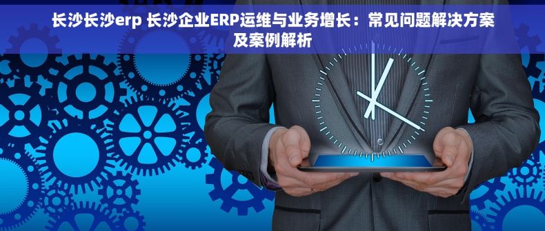 长沙长沙erp 长沙企业ERP运维与业务增长：常见问题解决方案及案例解析
