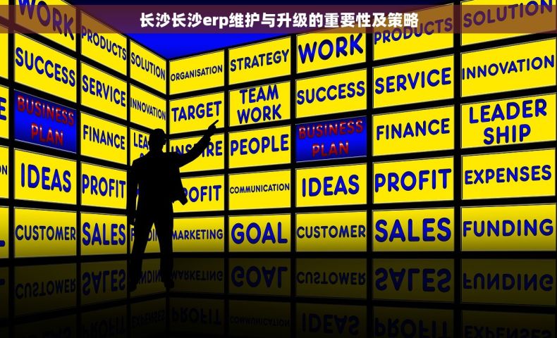 长沙长沙erp维护与升级的重要性及策略