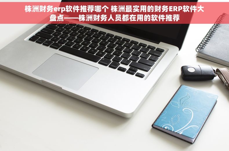 株洲财务erp软件推荐哪个 株洲最实用的财务ERP软件大盘点——株洲财务人员都在用的软件推荐