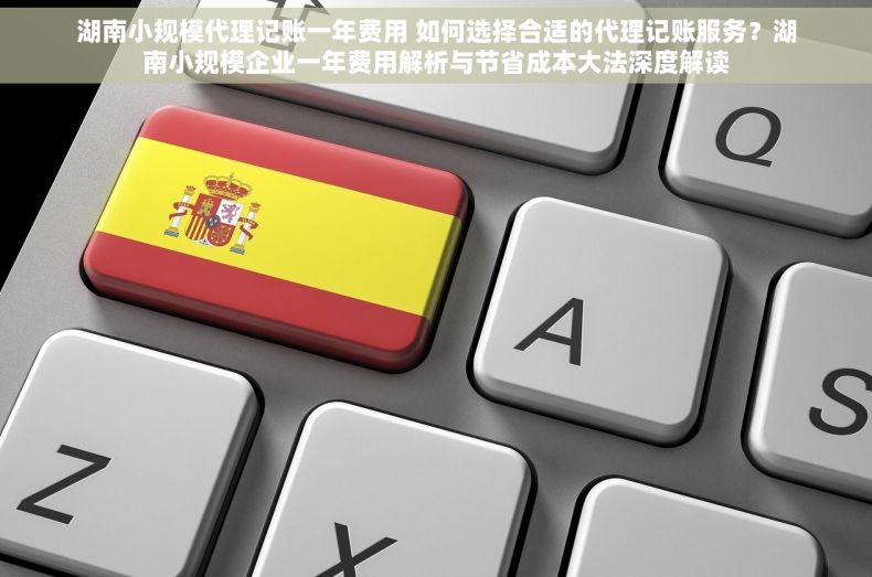 湖南小规模代理记账一年费用 如何选择合适的代理记账服务？湖南小规模企业一年费用解析与节省成本大法深度解读