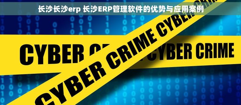 长沙长沙erp 长沙ERP管理软件的优势与应用案例