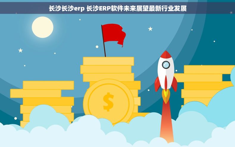 长沙长沙erp 长沙ERP软件未来展望最新行业发展