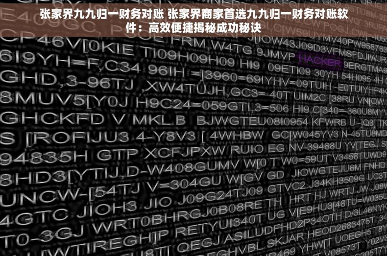 张家界九九归一财务对账 张家界商家首选九九归一财务对账软件：高效便捷揭秘成功秘诀