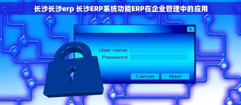 长沙长沙erp 长沙ERP系统功能ERP在企业管理中的应用