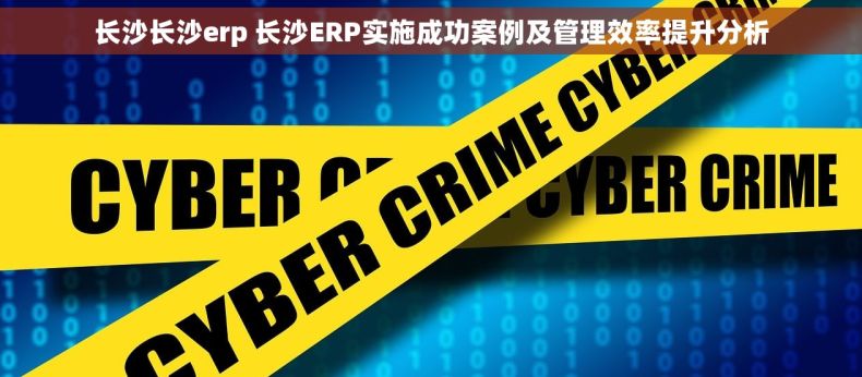 长沙长沙erp 长沙ERP实施成功案例及管理效率提升分析
