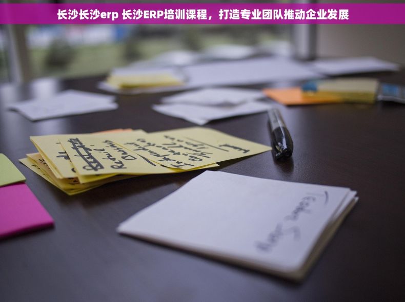 长沙长沙erp 长沙ERP培训课程，打造专业团队推动企业发展