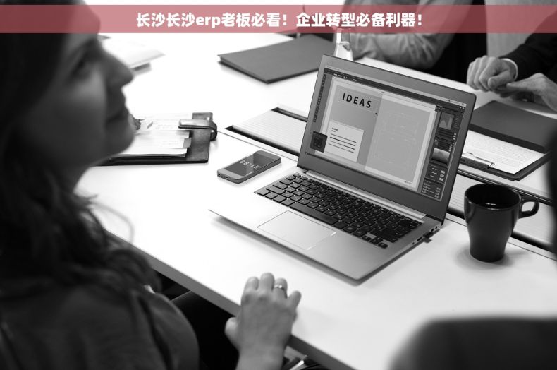 长沙长沙erp老板必看！企业转型必备利器！