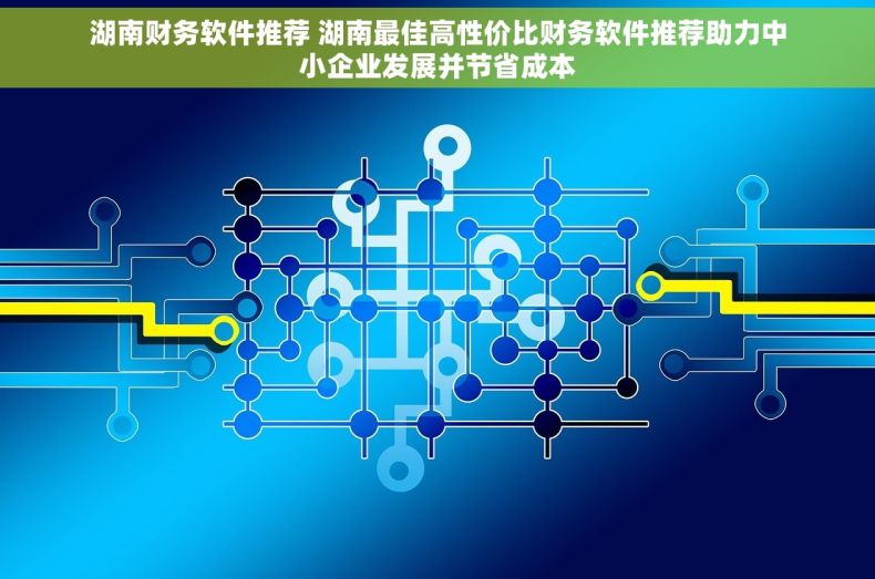 湖南财务软件推荐 湖南最佳高性价比财务软件推荐助力中小企业发展并节省成本