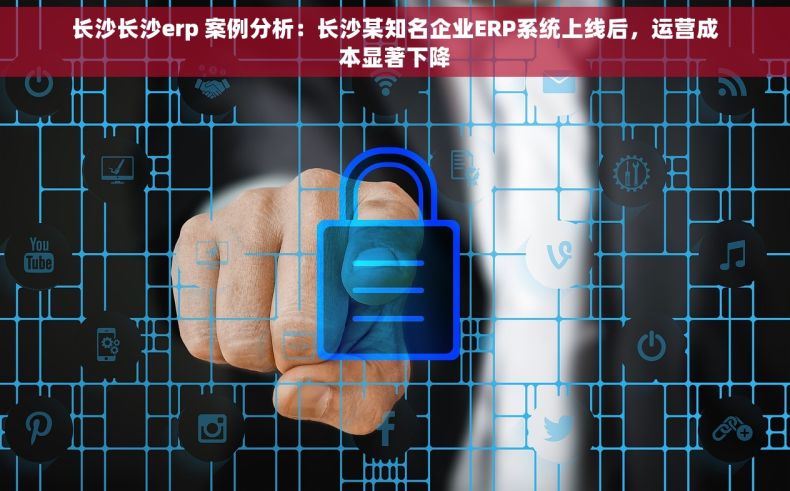 长沙长沙erp 案例分析：长沙某知名企业ERP系统上线后，运营成本显著下降