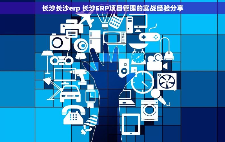 长沙长沙erp 长沙ERP项目管理的实战经验分享