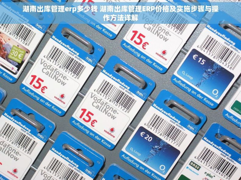 湖南出库管理erp多少钱 湖南出库管理ERP价格及实施步骤与操作方法详解