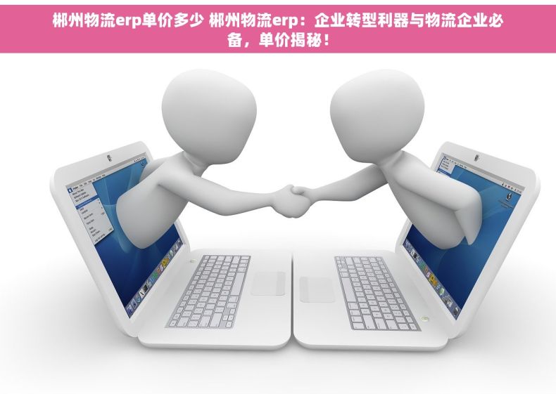 郴州物流erp单价多少 郴州物流erp：企业转型利器与物流企业必备，单价揭秘！