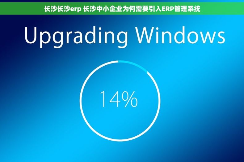 长沙长沙erp 长沙中小企业为何需要引入ERP管理系统