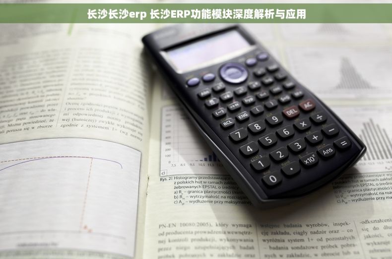 长沙长沙erp 长沙ERP功能模块深度解析与应用