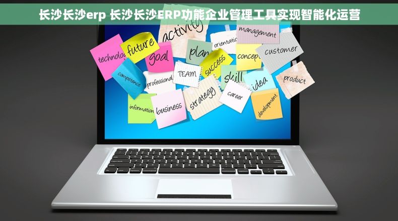 长沙长沙erp 长沙长沙ERP功能企业管理工具实现智能化运营
