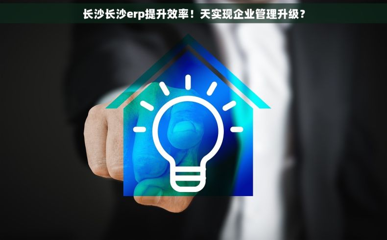 长沙长沙erp提升效率！天实现企业管理升级？