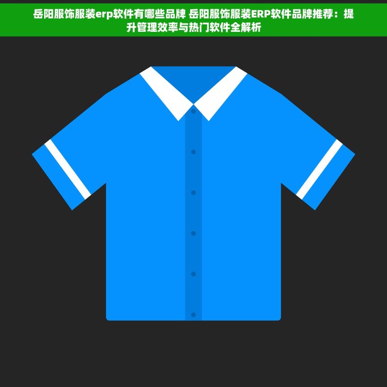 岳阳服饰服装erp软件有哪些品牌 岳阳服饰服装ERP软件品牌推荐：提升管理效率与热门软件全解析
