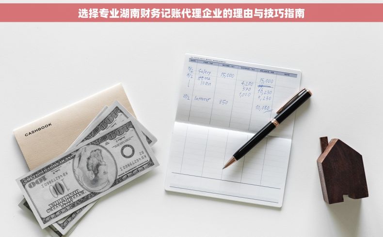 选择专业湖南财务记账代理企业的理由与技巧指南