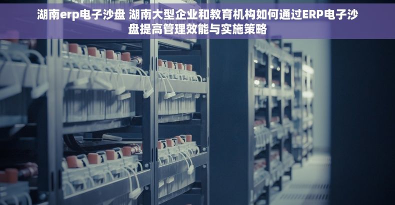 湖南erp电子沙盘 湖南大型企业和教育机构如何通过ERP电子沙盘提高管理效能与实施策略
