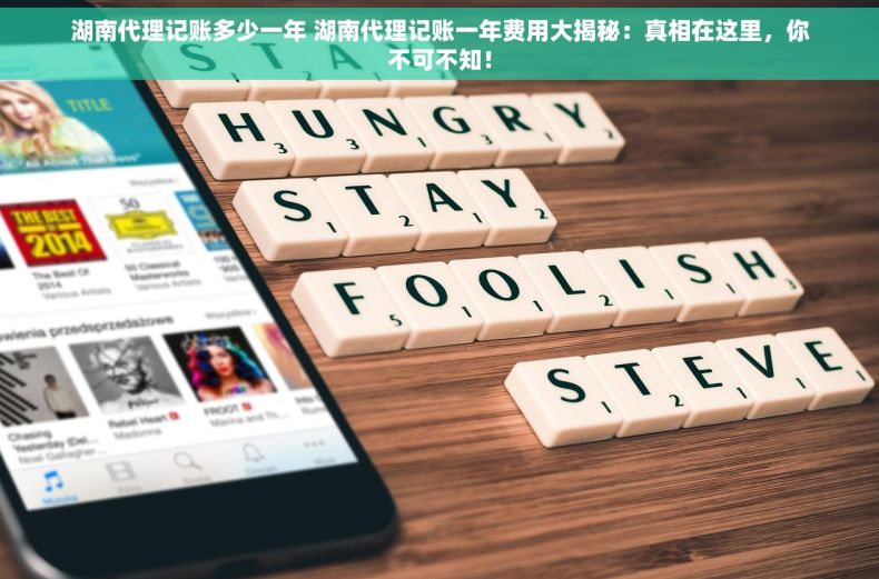 湖南代理记账多少一年 湖南代理记账一年费用大揭秘：真相在这里，你不可不知！