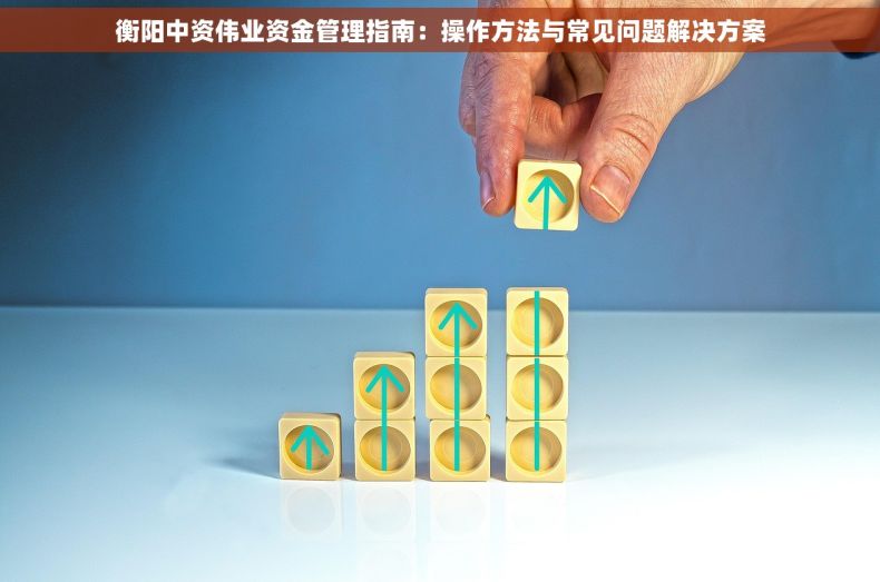 衡阳中资伟业资金管理指南：操作方法与常见问题解决方案