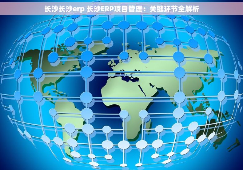 长沙长沙erp 长沙ERP项目管理：关键环节全解析