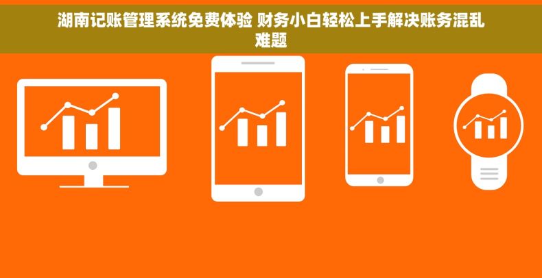 湖南记账管理系统免费体验 财务小白轻松上手解决账务混乱难题