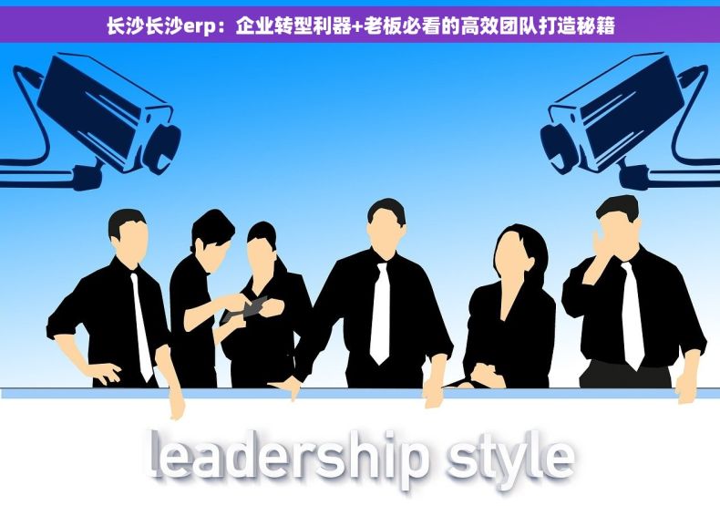 长沙长沙erp：企业转型利器+老板必看的高效团队打造秘籍