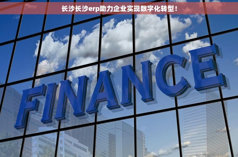 长沙长沙erp助力企业实现数字化转型！