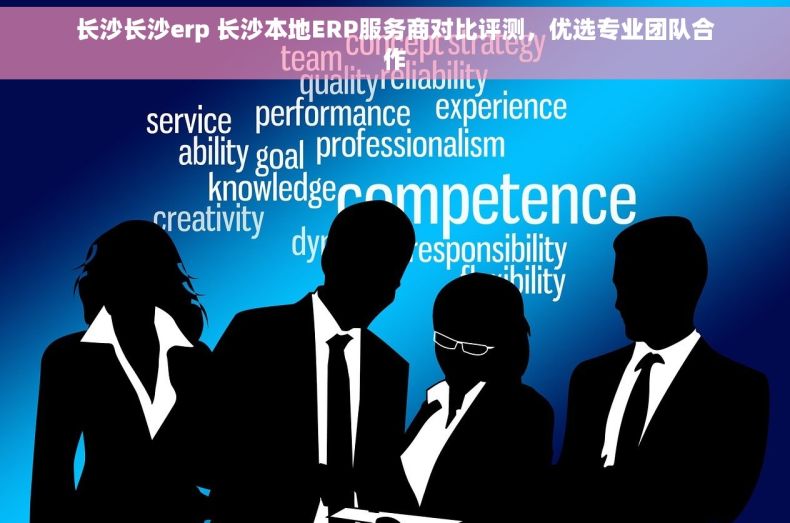 长沙长沙erp 长沙本地ERP服务商对比评测，优选专业团队合作