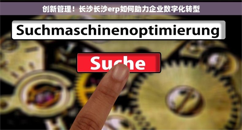 创新管理！长沙长沙erp如何助力企业数字化转型