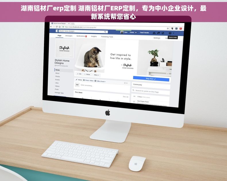 湖南铝材厂erp定制 湖南铝材厂ERP定制，专为中小企业设计，最新系统帮您省心