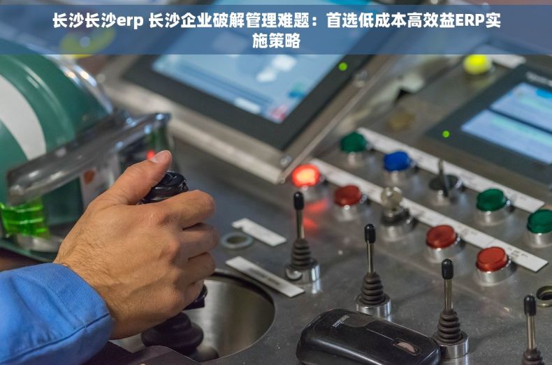 长沙长沙erp 长沙企业破解管理难题：首选低成本高效益ERP实施策略