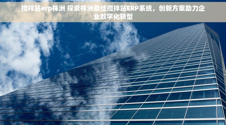 搅拌站erp株洲 探索株洲最佳搅拌站ERP系统，创新方案助力企业数字化转型