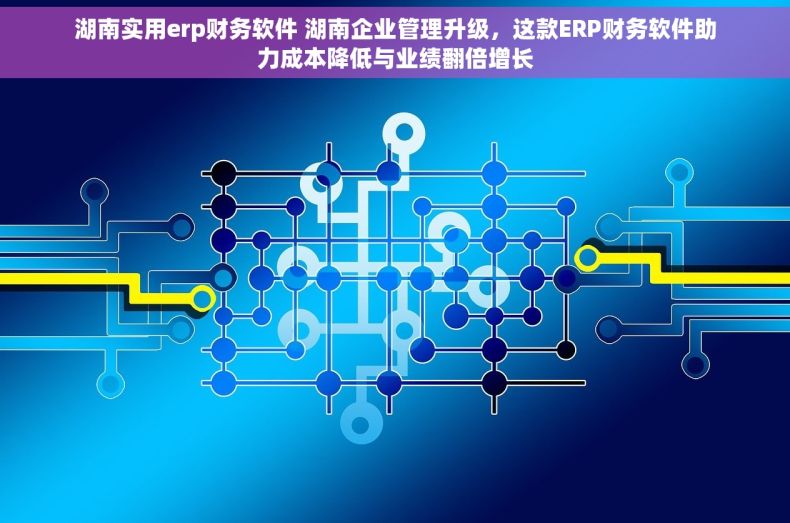 湖南实用erp财务软件 湖南企业管理升级，这款ERP财务软件助力成本降低与业绩翻倍增长