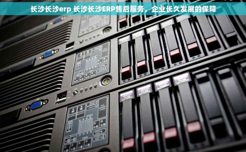 长沙长沙erp 长沙长沙ERP售后服务，企业长久发展的保障