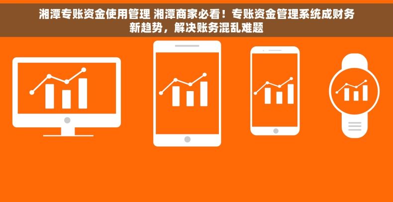 湘潭专账资金使用管理 湘潭商家必看！专账资金管理系统成财务新趋势，解决账务混乱难题