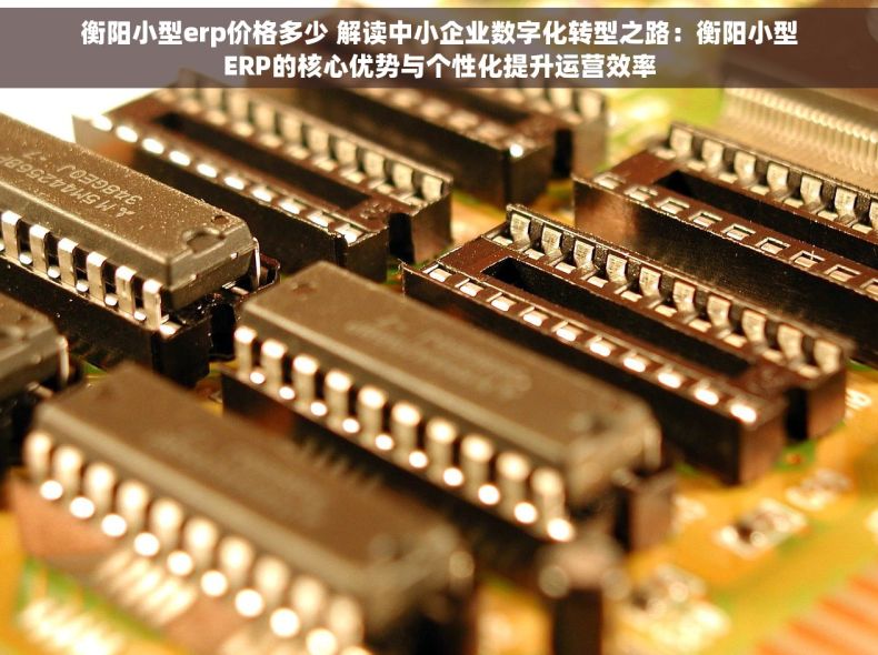 衡阳小型erp价格多少 解读中小企业数字化转型之路：衡阳小型ERP的核心优势与个性化提升运营效率