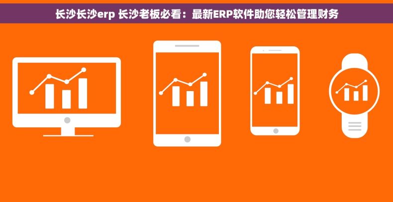 长沙长沙erp 长沙老板必看：最新ERP软件助您轻松管理财务