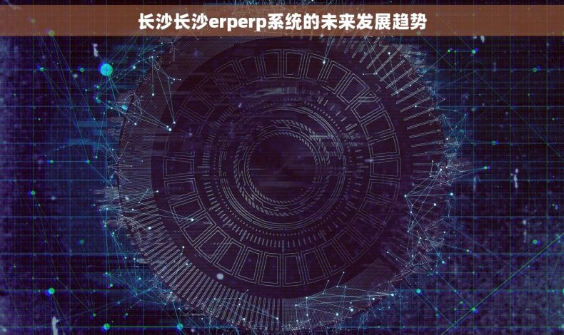 长沙长沙erperp系统的未来发展趋势