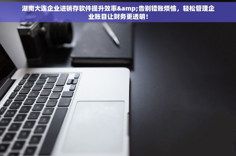 湖南大连企业进销存软件提升效率&告别错账烦恼，轻松管理企业账目让财务更透明！