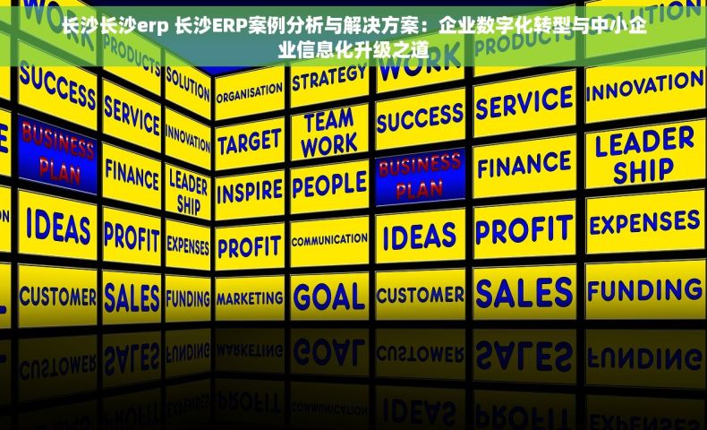 长沙长沙erp 长沙ERP案例分析与解决方案：企业数字化转型与中小企业信息化升级之道