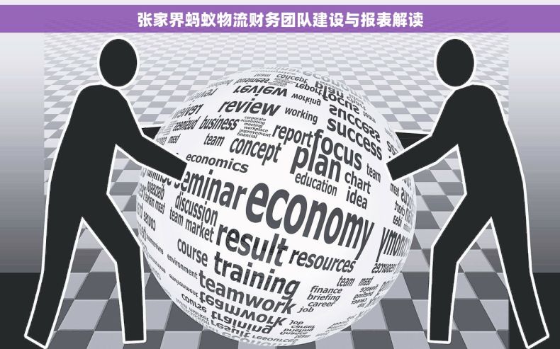 张家界蚂蚁物流财务团队建设与报表解读