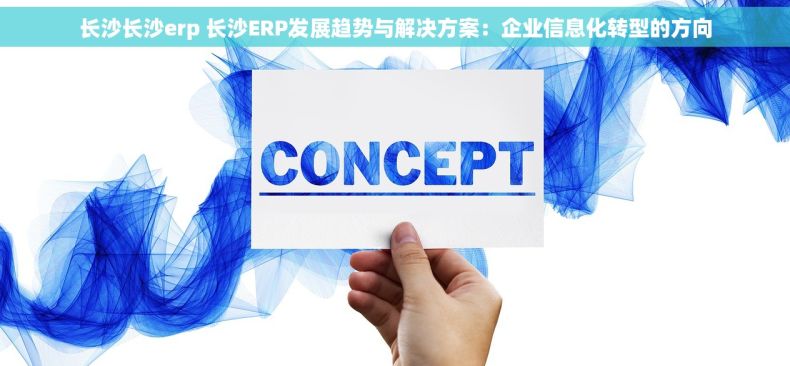 长沙长沙erp 长沙ERP发展趋势与解决方案：企业信息化转型的方向