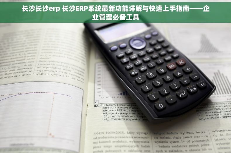 长沙长沙erp 长沙ERP系统最新功能详解与快速上手指南——企业管理必备工具