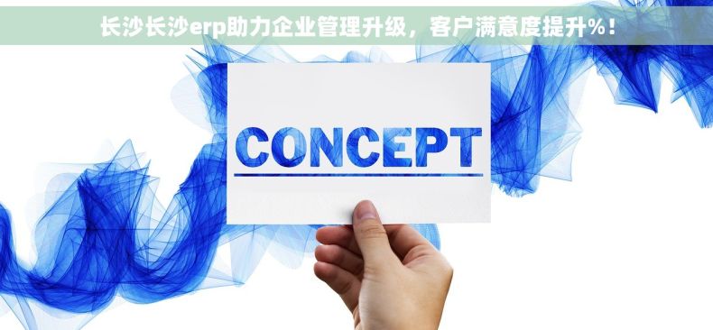 长沙长沙erp助力企业管理升级，客户满意度提升%！