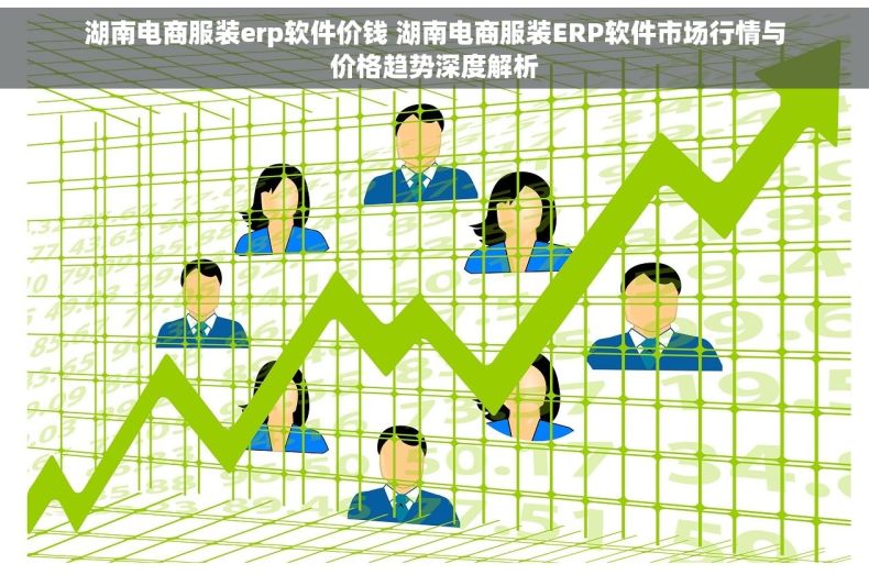 湖南电商服装erp软件价钱 湖南电商服装ERP软件市场行情与价格趋势深度解析
