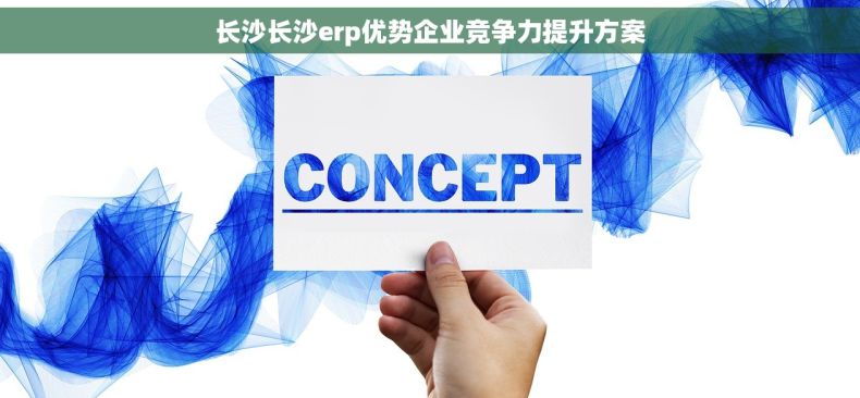 长沙长沙erp优势企业竞争力提升方案
